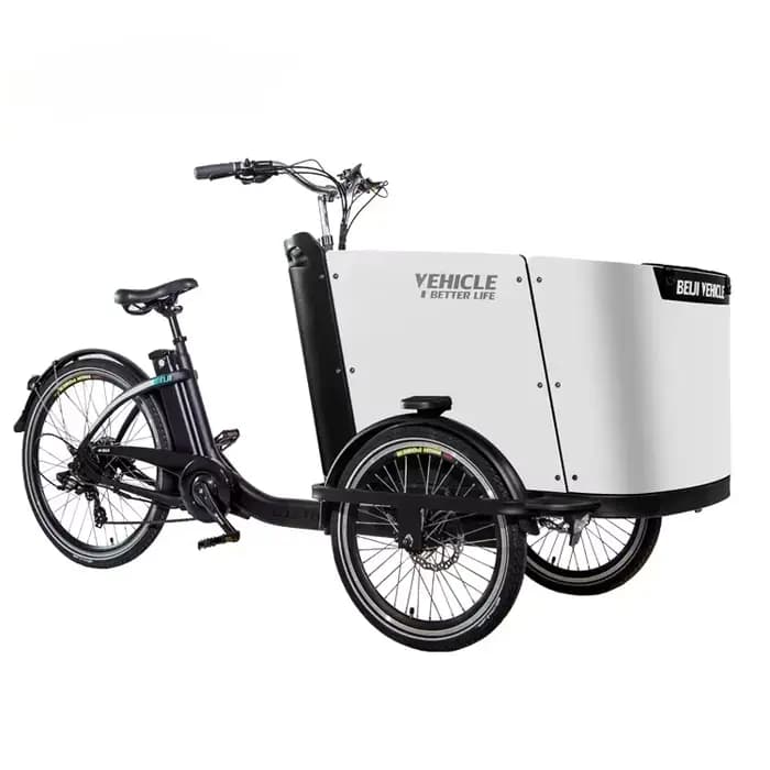 Vélo cargo électrique avec assistance électrique, tricycle à 3 roues, 7 vitesses, frein à disque hyd