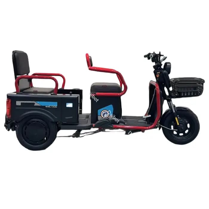 Scooter de mobilité pour Senior 3 roues Scooter électrique Cargo 600W 60V Tricycle électrique pour a