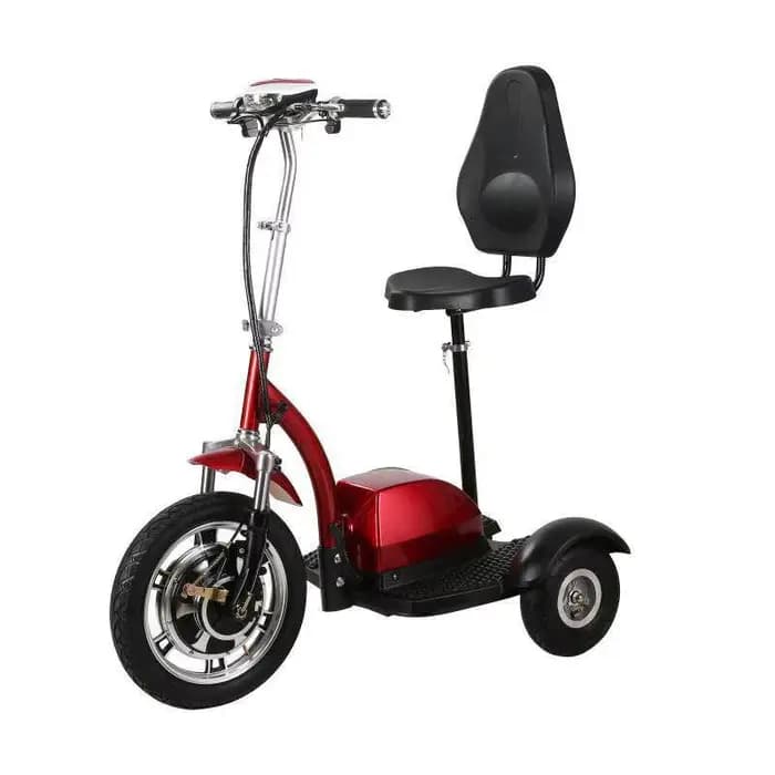 Scooter électrique à 3 roues, moteur sans balais 350W, batterie au plomb-acide 36V12Ah, vitesse maxi