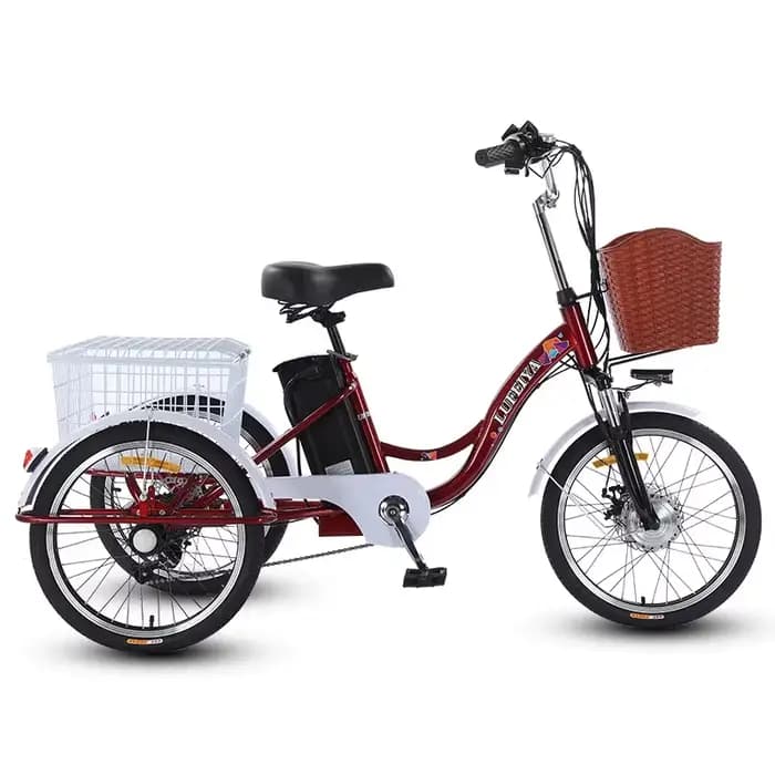 Tricycle électrique adulte à 3 roues, batterie au lithium 12A avec panier de traction 350W 20 pouces