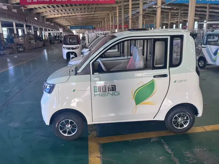 Véhicule électrique âgé de scooter de mobilité adulte à basse vitesse longue portée de tension 110V-