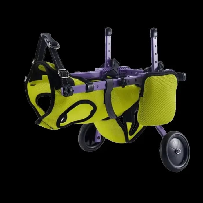 Fauteuil roulant réglable pour chien, support respirant pour pattes arrière, aide à la récupération 