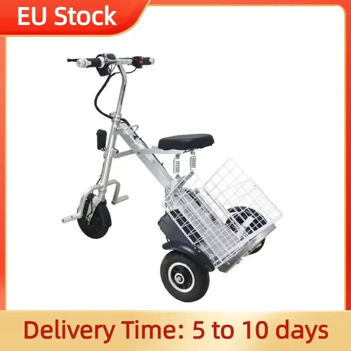 Mini Tricycle Électrique Pliant pour Personnes Âgées, 250W, 36V, Scooter de Voyage observateur avec 