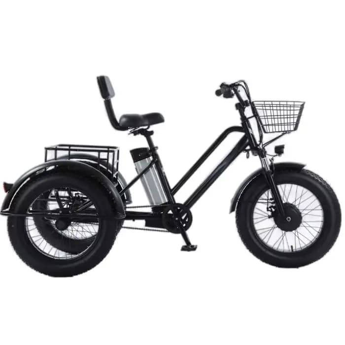 Tricycle électrique assisté par pédale de gros pneu de 20 pouces pour adultes 48V 500W 12AH vélo éle