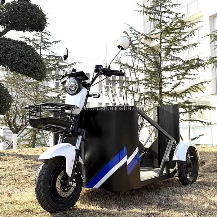 Les fabricants vendent des tricycles électriques 800 W spécifiquement conçus pour les personnes hand