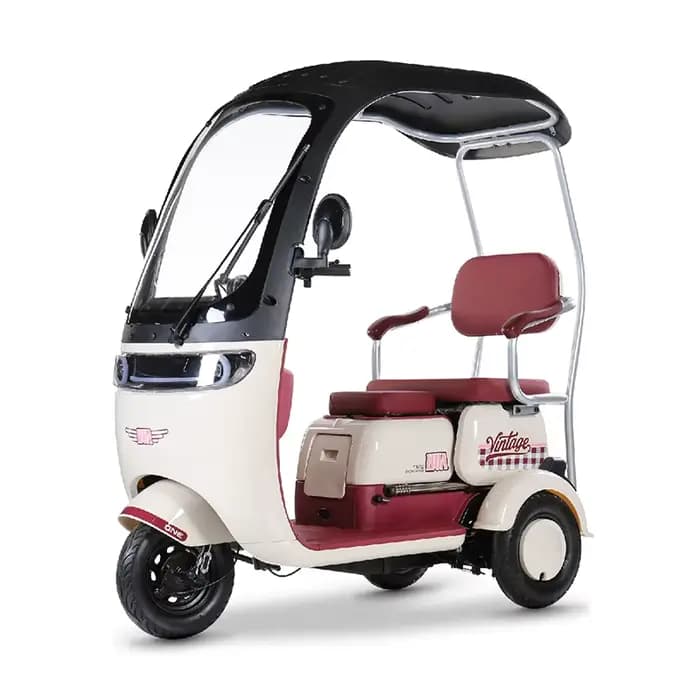 3 roues 1000W Scooter électrique Tricycle électrique petits scooters de mobilité électrique Ebike po
