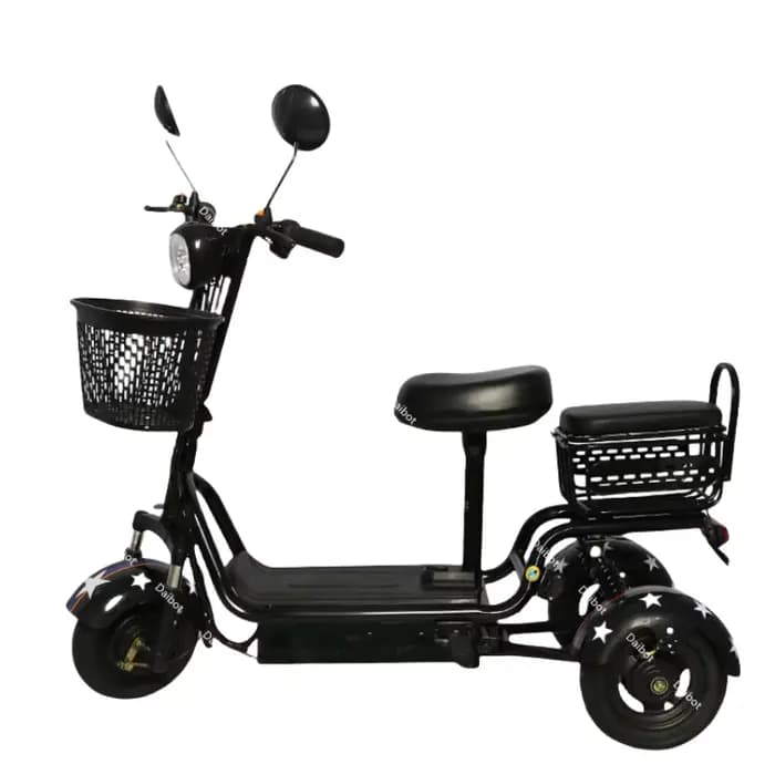 Petit Tricycle électrique familial pour personnes âgées, avec siège arrière, Scooter électrique à tr