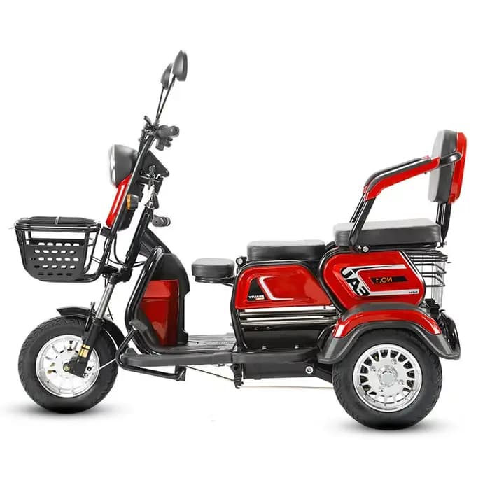 Tricycle électrique à 3 roues pour adultes et passagers