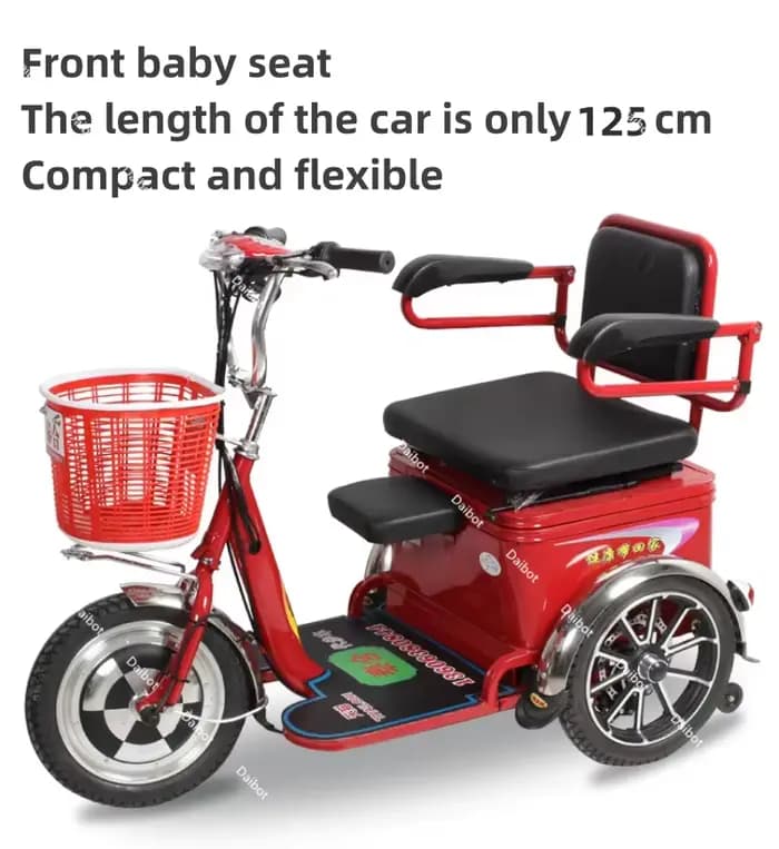 Tricycle Cargo Électrique à 3 Roues pour Adulte et Enfant