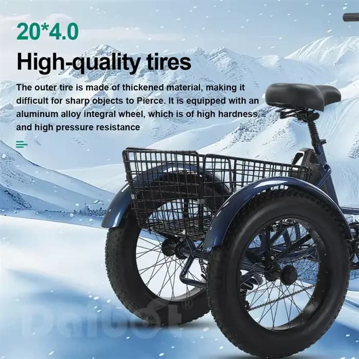 Tricycle électrique à trois roues pour adultes