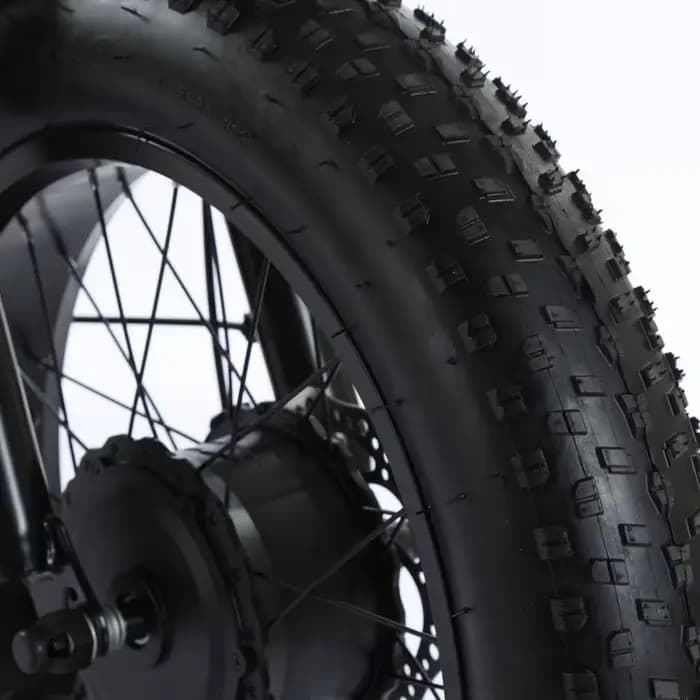 Tricycle électrique assisté par pédale de gros pneu de 20 pouces pour adultes 48V 500W 12AH vélo