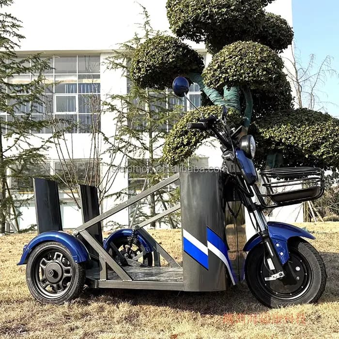 Les fabricants vendent des tricycles électriques 800 W spécifiquement conçus pour les personnes handicapées
