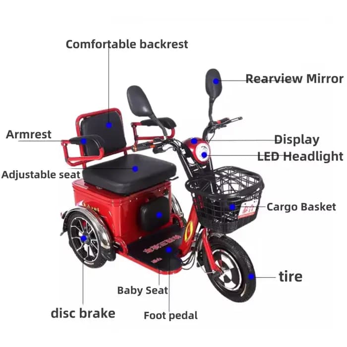 Tricycle Cargo Électrique à 3 Roues pour Adulte et Enfant