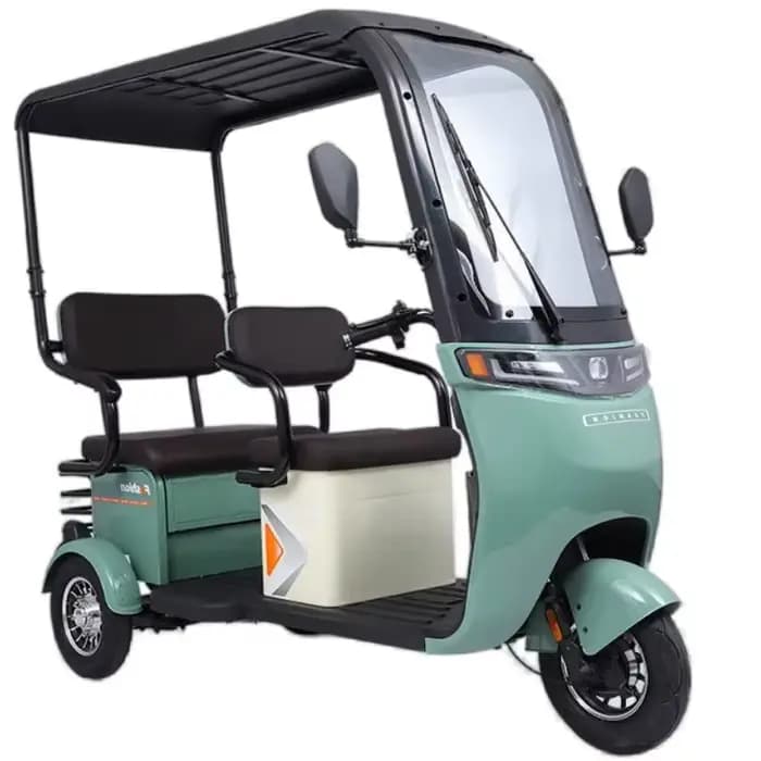 Tricycle électrique puissant à longue portée 1000W