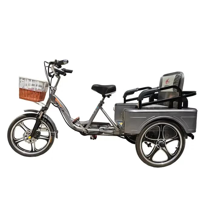 Tricycle électrique pour personnes âgées