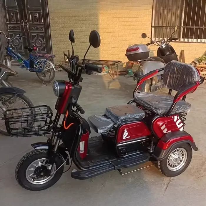 Tricycle électrique pour adultes