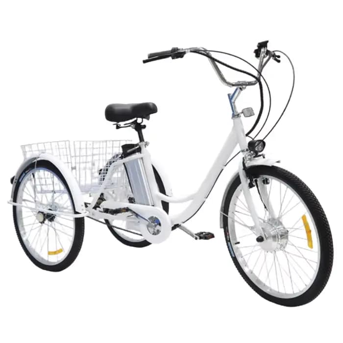 24 pouces 3 roues Tricycle électrique Cargo vélo adulte Senior avec panier arrière 350W famille