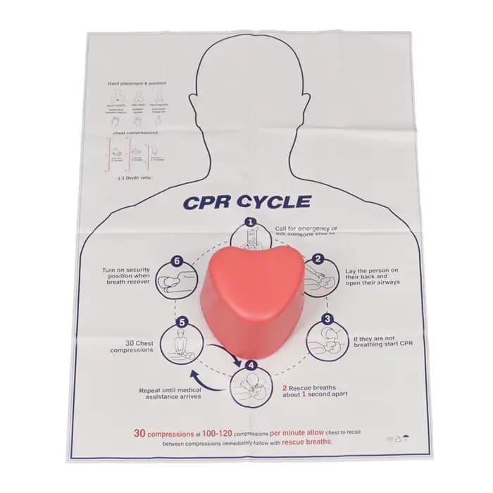 1 pièce Mini Mannequin de Formation en Premiers Secours en Forme de Cœur, Outil d'Entraînement Médical, Modèle de Mannequin Infirmier, Modèle d'Entraînement, Soins de Santé