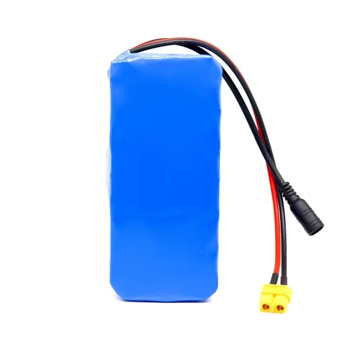 Batterie au lithium 24 V 15 Ah pour fauteuils roulants | Pack rechargeable 7S3P 18650 15 000 mAh | avec chargeur rapide