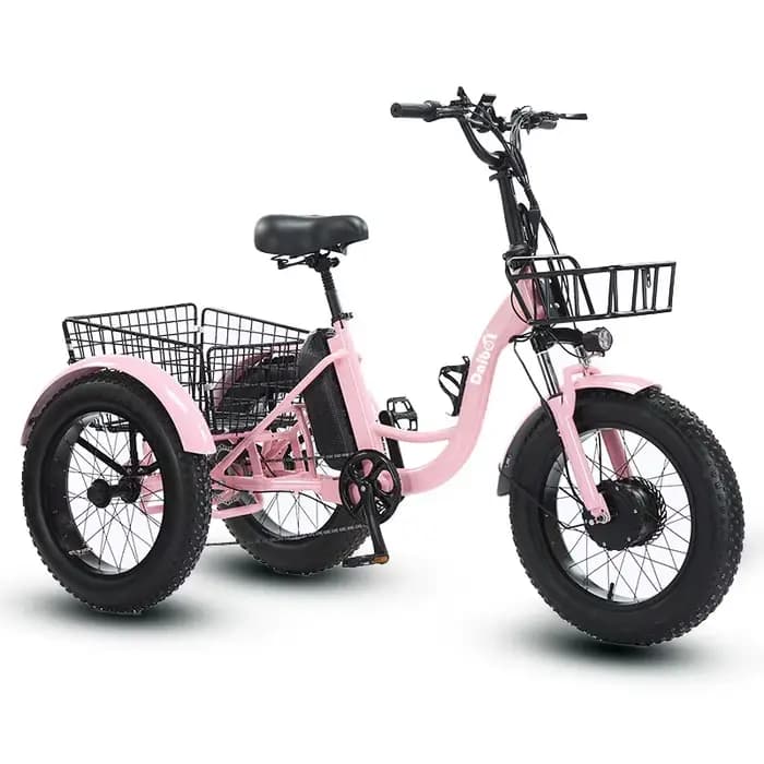 Tricycle électrique à trois roues pour adultes