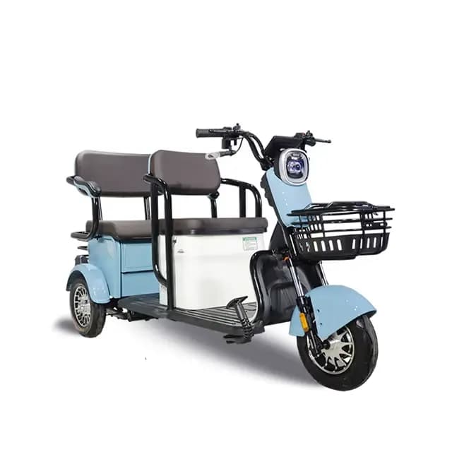 Nouveau Tricycle Électrique de Loisirs à 3 Roues 60V Longue Portée pour Personnes à Mobilité Réduite