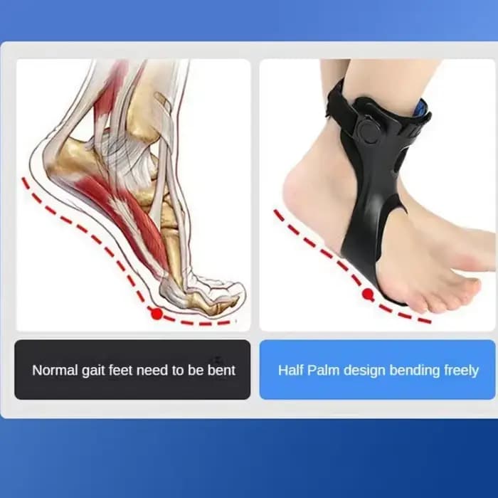 Orthèse de pied tombant AFO AFOs