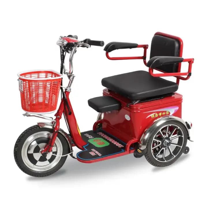 Tricycle Cargo Électrique à 3 Roues pour Adulte et Enfant