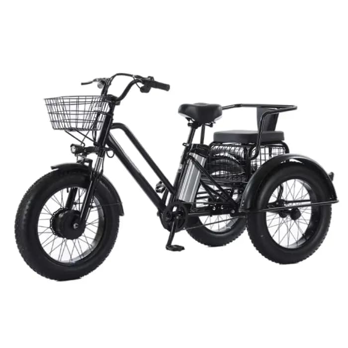 Tricycle électrique assisté par pédale de gros pneu de 20 pouces pour adultes 48V 500W 12AH vélo