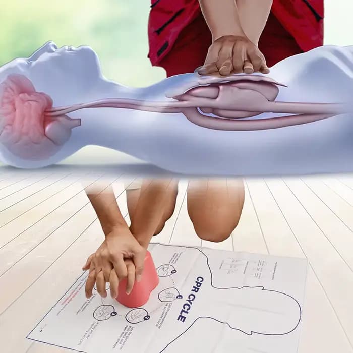 1 pièce Mini Mannequin de Formation en Premiers Secours en Forme de Cœur, Outil d'Entraînement Médical, Modèle de Mannequin Infirmier, Modèle d'Entraînement, Soins de Santé