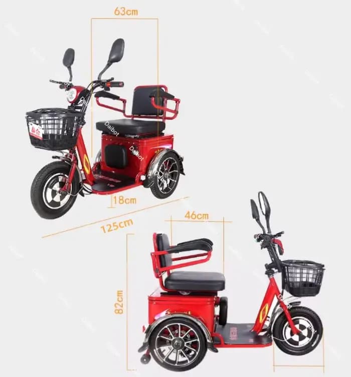 Tricycle Cargo Électrique à 3 Roues pour Adulte et Enfant