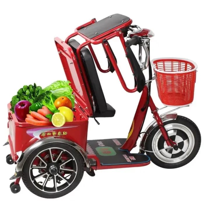 Tricycle Cargo Électrique à 3 Roues pour Adulte et Enfant