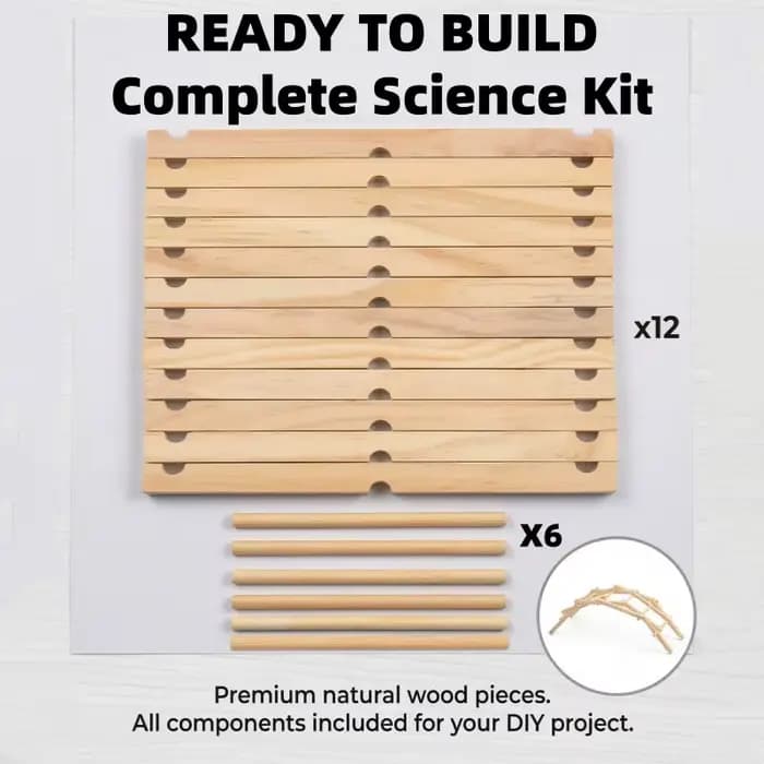 Kit de construction de pont en bois Beili, modèle de pont en arc, blocs de construction DIY, jouets d'expérimentation scientifique faits à la main, cadeau pour enfants