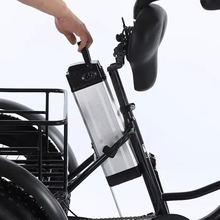 Tricycle électrique assisté par pédale de gros pneu de 20 pouces pour adultes 48V 500W 12AH vélo