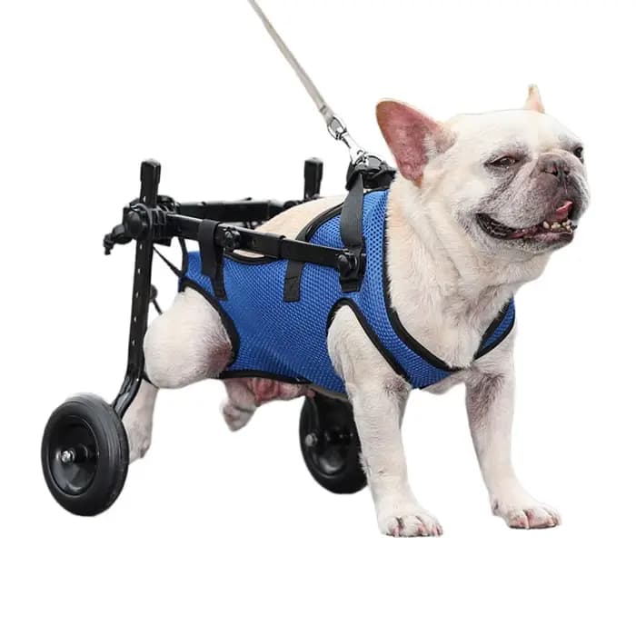 Chariot de fauteuil roulant pour animaux de compagnie