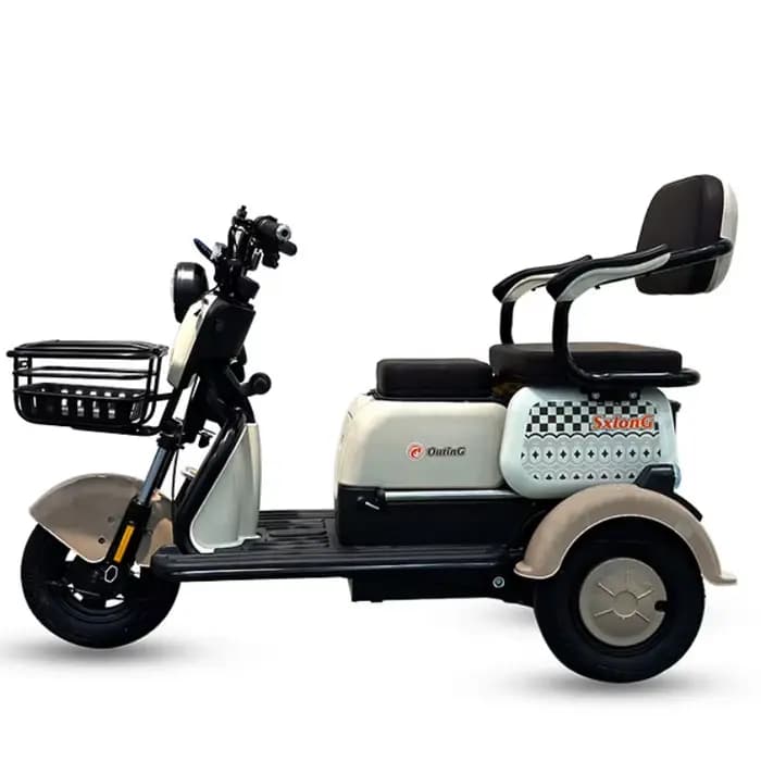 1000W 60V nouveau Scooter électrique marron rose pour personnes âgées femmes 3 roues Tricycle