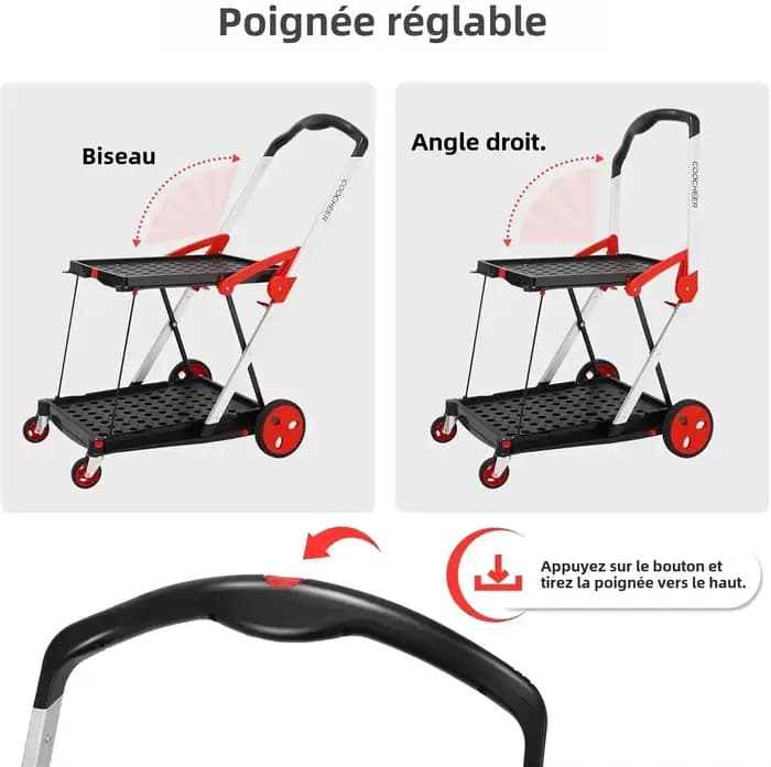 Chariot de courses pliable avec roues
