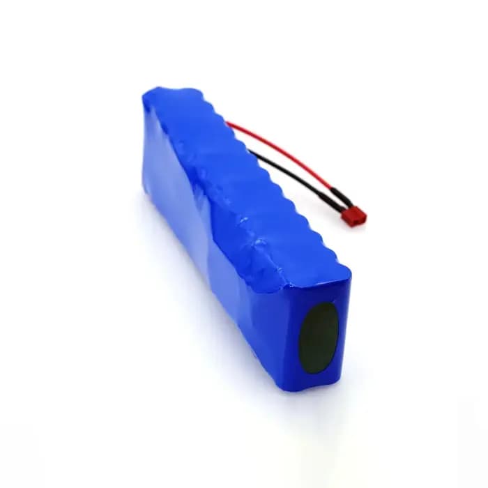 Batterie de Scooter motorisée authentique 48V 100Ah 500W Citycoco avec BMS