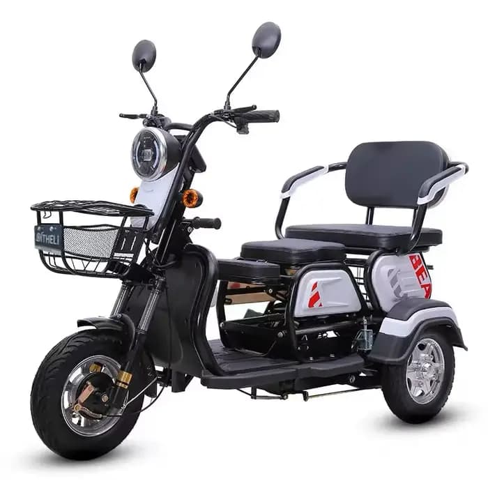 Tricycle électrique à 3 roues pour adultes et passagers
