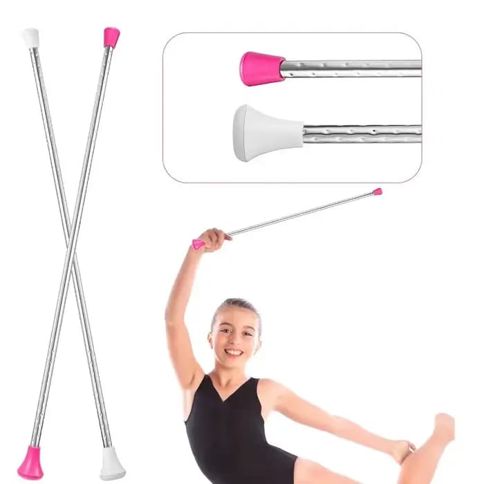 Bâton de marche en acier inoxydable