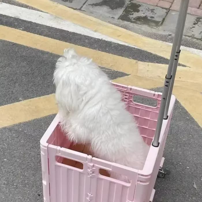 Chariot de courses pliable pratique pour supermarché