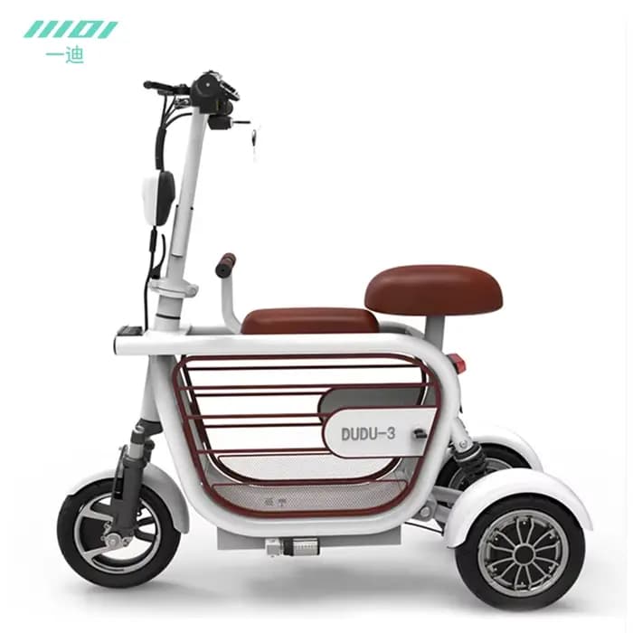 Fournisseur de tricycle électrique d'usine OEM