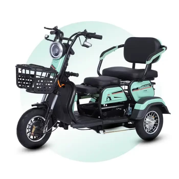 Tricycle électrique avec siège passager pour adultes et personnes âgées