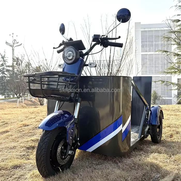 Les fabricants vendent des tricycles électriques 800 W spécifiquement conçus pour les personnes handicapées