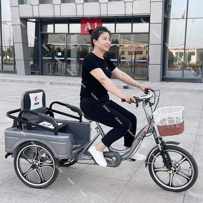 Tricycle électrique pour personnes âgées