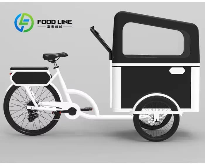 Vélo cargo à pédale électrique à 3 roues avec moteur arrière pour transporter des vélos électriques pour animaux de compagnie