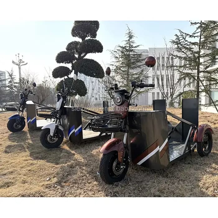 Les fabricants vendent des tricycles électriques 800 W spécifiquement conçus pour les personnes handicapées