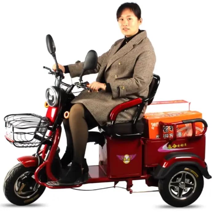 Tricycle électrique à 3 roues pour adultes, 600W 40V 30AH, avec siège à dossier réglable, Scooter él