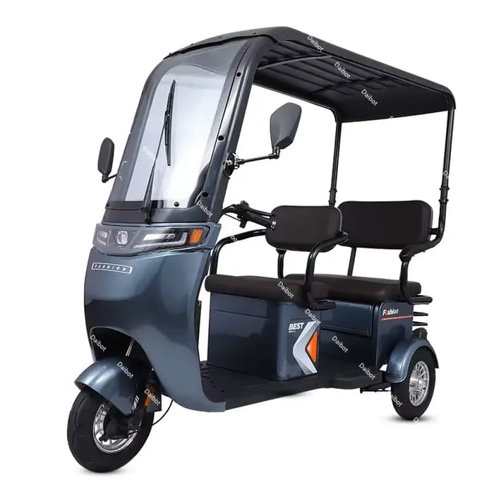 Tricycle électrique puissant à longue portée 1000W, avec hangar/stockage, pour adultes et personnes