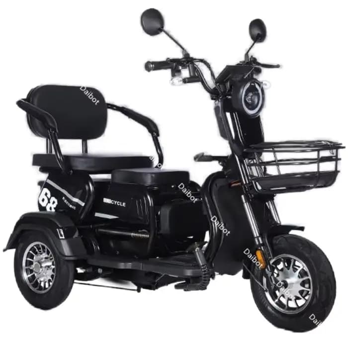 Tricycle électrique adulte Mini passager 3 roues Scooter électrique 3 sièges pour femmes famille 600