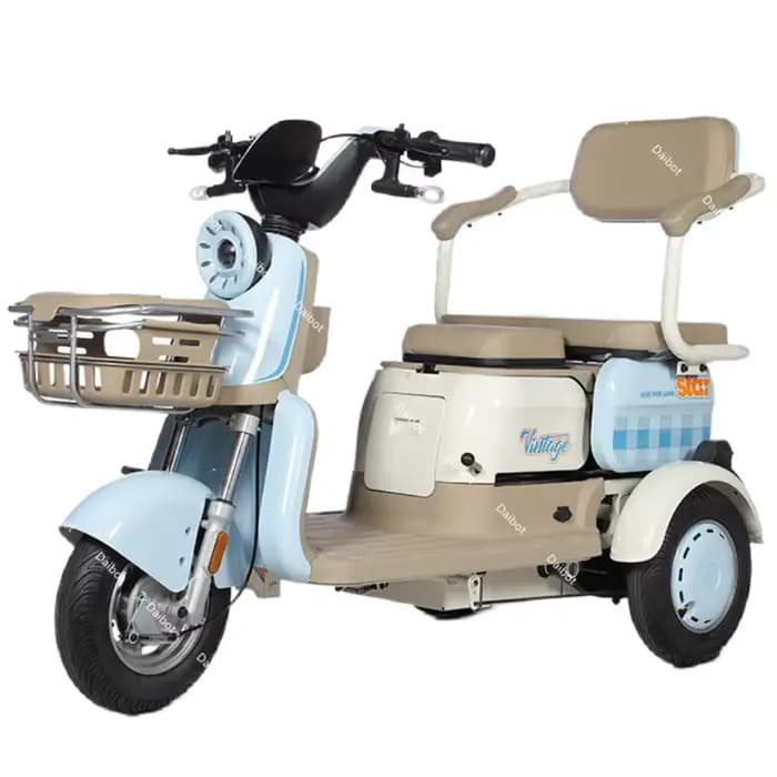 Tricycle électrique adulte avec siège passager personnes âgées ramasser les enfants 1000W tout Terra